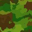 Camouflage pattern