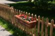 Flowers on fence