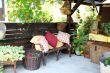 Relaxing summer