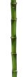 long bamboo stick