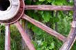 Close-up Wagon Wheel