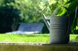 watering can of metal