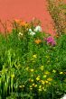 springflowers