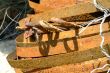 rusty spiral of metal