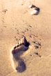 Footprints