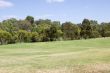 Parkland