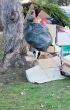 Street Rubbish
