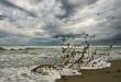 autumn beach in thunderstorm