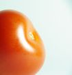 tomato skin red macro