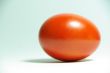 easter egg redd
