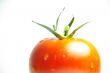tomato red macro