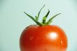 tomato red macro