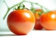 tomatos red macro