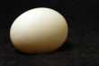 Eggs for health