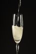 champagne