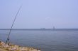 Fishing in Lisbon