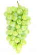 white grapes