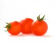 tomatoes on white background