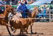 Steer Wrestling