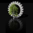 birch and gearwheel