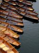 Rowing Boats
