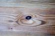 Wood texture
