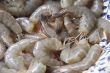 Whole raw prawns