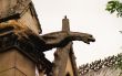 Gargoyle