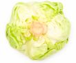 heads of cabbage