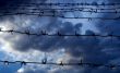 Barbed wire