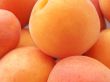 Apricots