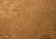 texture 6