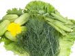 Cucumber, lettuce, dill, pea