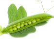 pea cut