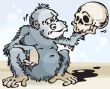 Monkey and Skull