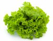 Green salad