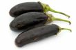 eggplants