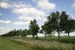 Dutch landscape