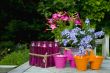 Garden decoration