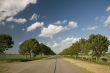 Dutch landscape