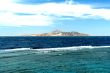 Island in the sea