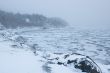 Frozen Landscape