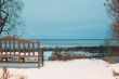 Arctic Park