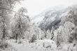 Winter Wonderland