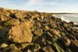 Boulder Coastline