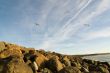 Boulder Coastline