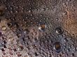 Drops