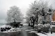 Winters path by lake