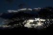 Lake District Night Sky