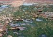 Rocks at low tide